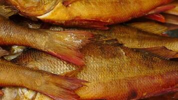 hot smoked perch large pile, close-up, camera in motion video