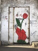 red flower street graffiti on the door photo