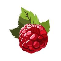 juicy and healthy red raspberry with green leaf isolated on white background. Vector berries illustration in flat style. Summer clipart for design of card, banner, flyer, sale, poster, icons