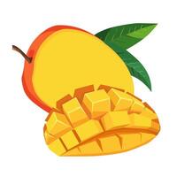 Juicy and healthy chopped and whole mango half isolated on white background. Vector fruit illustration in flat style. Summer clipart for design of card, banner, flyer, sale, poster, icons