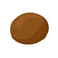 Juicy and healthy brown kiwi isolated on white background. Vector fruit illustration in flat style. Summer clipart for design of card, banner, flyer, sale, poster, icons