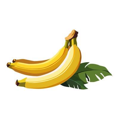 Tropical healthy yellow bananas with green leaves isolated on white background. Vector fruit illustration in flat style. Summer beach clipart for design of card, banner, flyer, sale, poster, icons