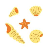 Seashells and starfish vector illustration set