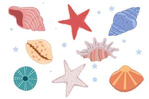 A set of seashells, mollusks, starfish of different shapes and colors. Marine design elements. Trendy flat illustration of seashells collection isolated on white for stickers. vector