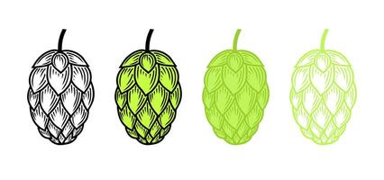 Engraved hop cone set. Black and color hops vector flat illustration or icon isolated on white background.