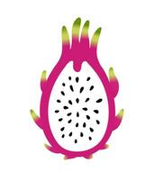 Dragon fruit half. Flat cartoon color vector illustration isolated on white background. Pitaya or pitahaya doodle. White fruit pulp with seeds.