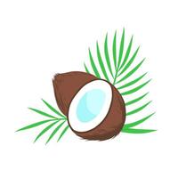 Coconut whole and half with palm leaves. Vector illustration isolated on white background.