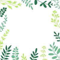 Herbal twigs and leaves border square frame. Vector flat illustration on white background.