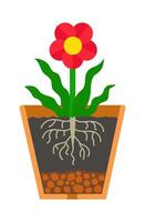 Section of flower pot with bloomy house plant. Pot filled with soil and pebbles. vector