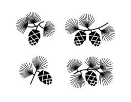 Cedar or pine cones on branches with needles. Vector black illustrations set isolated on white.