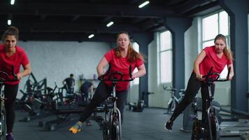 gruppo di ragazze esegue aerobico formazione allenarsi cardio routine su bicicletta simulatori, ciclo formazione video