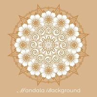 luxury mandala pattern background, circular pattern vector design