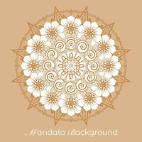 lujo mandala modelo fondo, circular modelo vector diseño