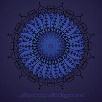 luxury mandala pattern background, circular pattern vector design