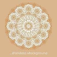luxury mandala pattern background, circular pattern vector design
