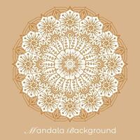 luxury mandala pattern background, circular pattern vector design