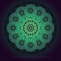 luxury mandala pattern background, circular pattern vector design