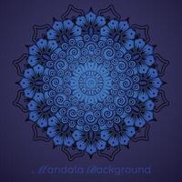 luxury mandala pattern background, circular pattern vector design
