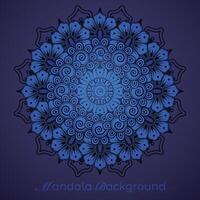 luxury mandala pattern background, circular pattern vector design