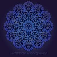 luxury mandala pattern background, circular pattern vector design