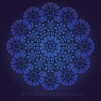 luxury mandala pattern background, circular pattern vector design