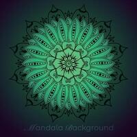 luxury mandala pattern background, circular pattern vector design