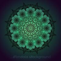 luxury mandala pattern background, circular pattern vector design