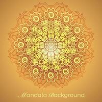 luxury mandala pattern background, circular pattern vector design