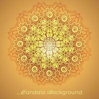 luxury mandala pattern background, circular pattern vector design