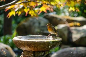 AI generated Bird perches on the edge of a stone bath fountain among autumn leaves in nature photo