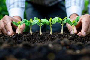 AI generated Gardening hands planting seedlings in soil for agriculture and environmental care photo