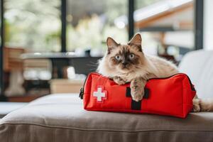 AI generated A cat sits on a red first-aid kit symbolizing pet emergency preparedness in the home photo