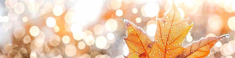 AI generated Autumn leaf with dew and bokeh nature background in sunlight photo