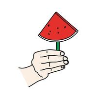 watermelon summer fruit vector illustration