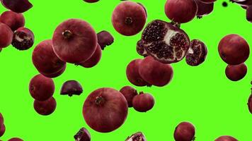 Falling pomegranate on a green background video