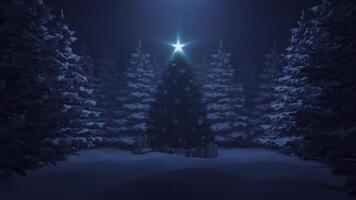 Christmas tree with a shining star and a garland in the forest with falling snow video