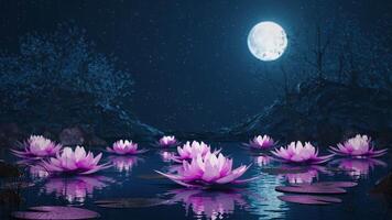 Loop Lotus flowers on a magical night on the water against the backdrop of the moon video