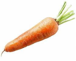 AI generated Fresh carrot isolated on white background. Close-up Shot. photo