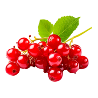 ai gegenereerd vers cranberry's fruit png