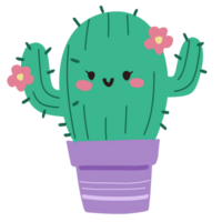 Isolated Cute cactus plant in pot with a happy smile in transparent background. png