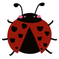 Isolated cute hand-drawn ladybug in transparent background png