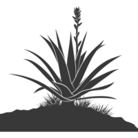 AI generated Silhouette Aloe vera tree in the ground black color only png