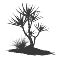 ai généré silhouette aloès Vera arbre dans le sol noir Couleur seulement png