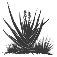 AI generated Silhouette Aloe vera tree in the ground black color only png