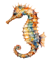 AI generated Watercolor and painting seahorse png