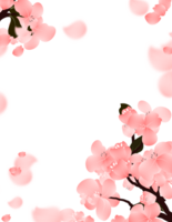 Sakura bloom border, cherry blossom frame png