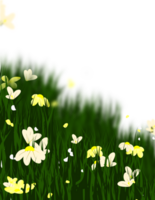 gräs blommor ram png