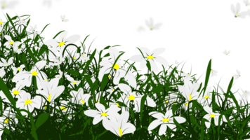 grass flowers border background png