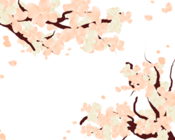 Sakura flower frame, falling petals background png