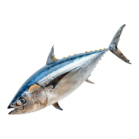 ai generato tonno pesce isolato su trasparente sfondo png